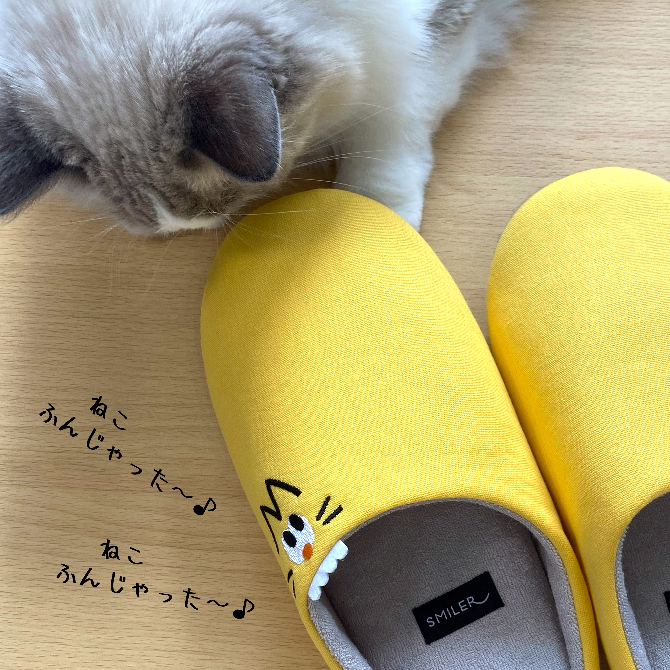 ZIPPA - ルームシューズ　＜２足セット＞